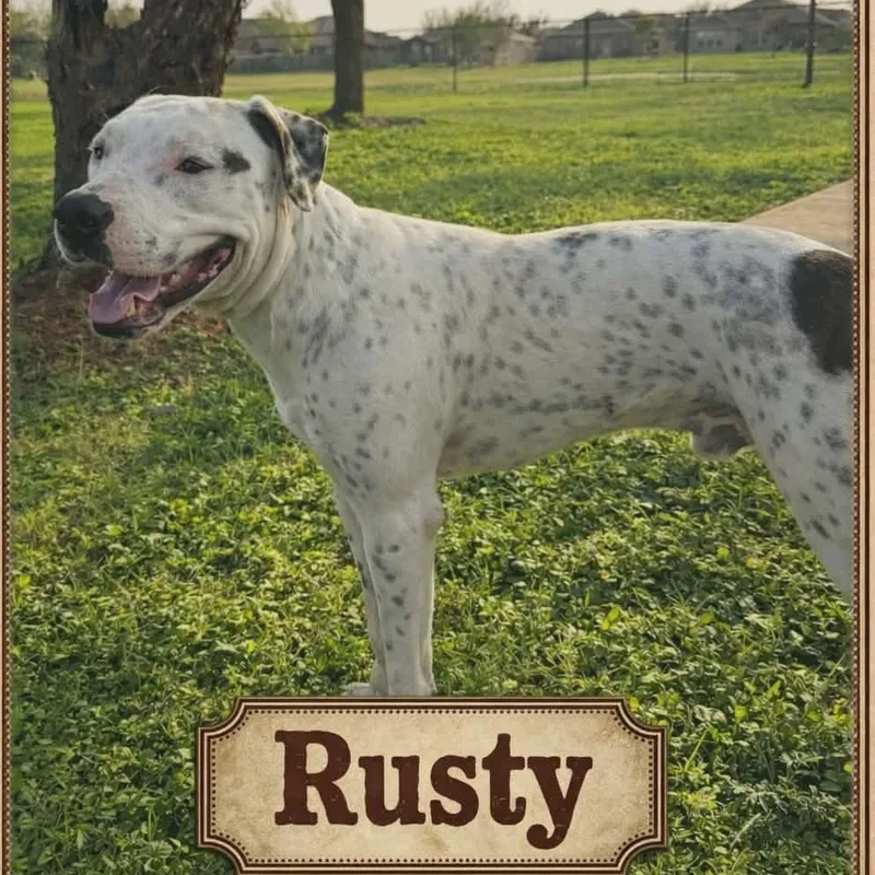 Rusty thumbnail 3