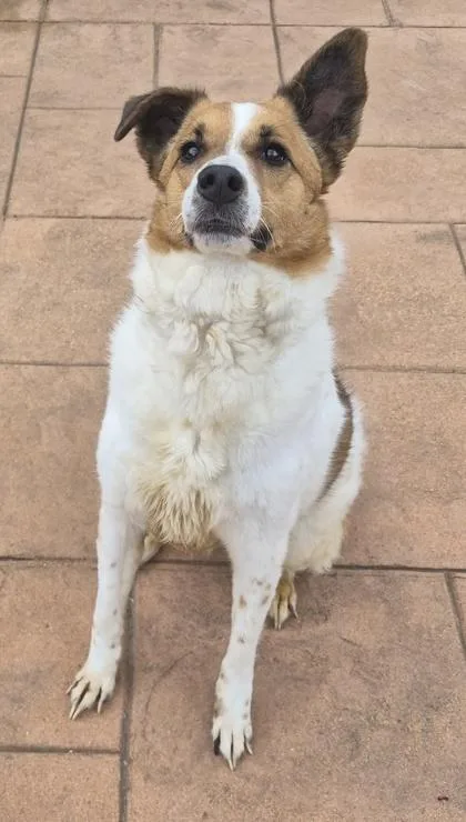 Mindy