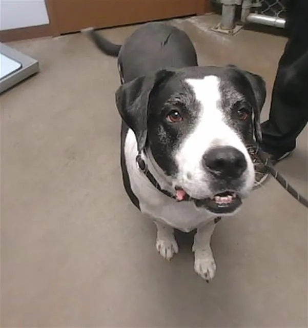 Max