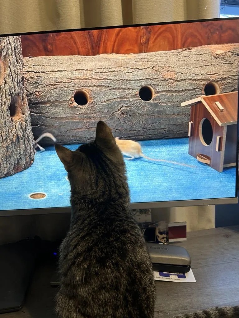 The Frozen Rudy thumbnail 3