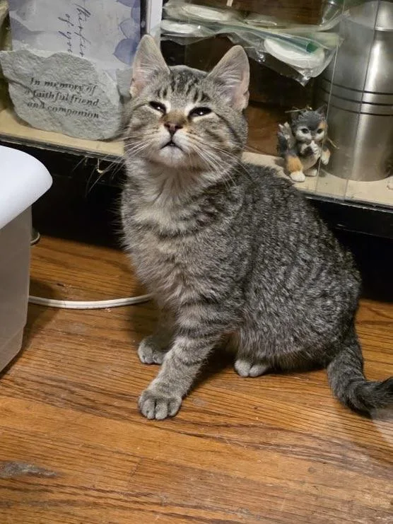 The Frozen Rudy thumbnail 4