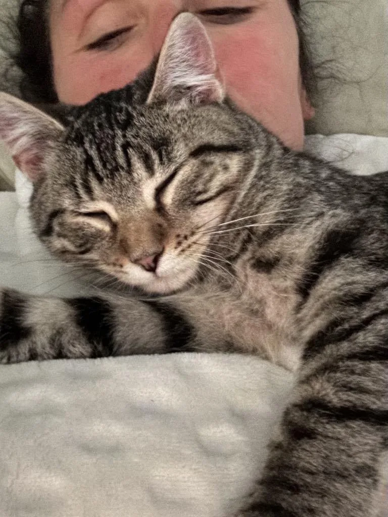 The Frozen Rudy thumbnail 6