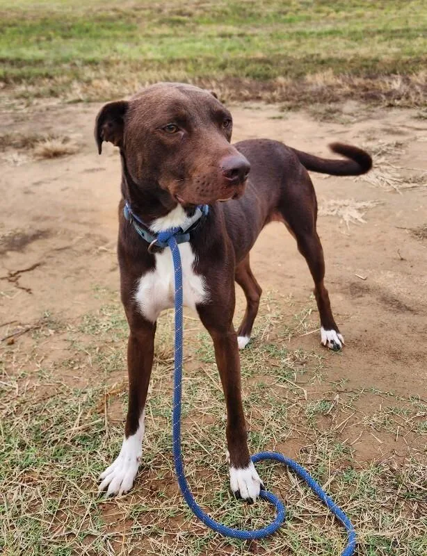 Clarence thumbnail 4