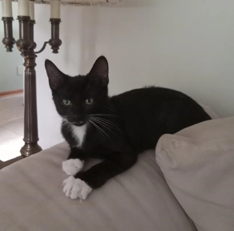 Reuben thumbnail 2