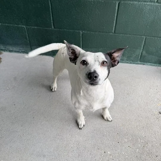 Fashionista thumbnail 2