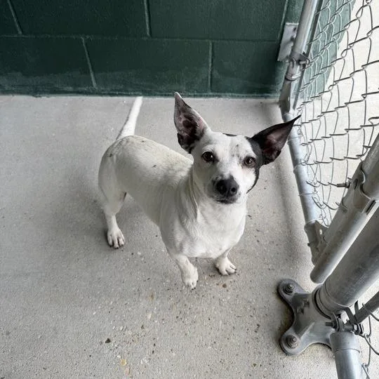 Fashionista thumbnail 3