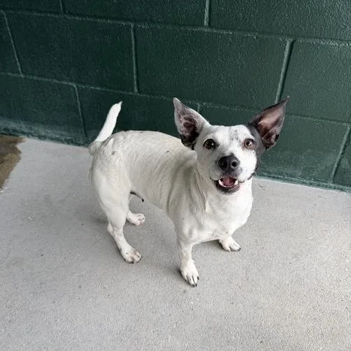 Fashionista thumbnail 4