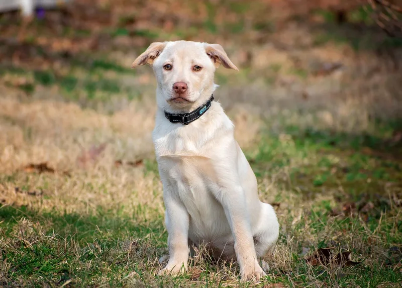 Saiontz & Kirk thumbnail 2