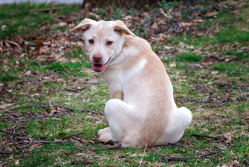 Saiontz & Kirk thumbnail 3