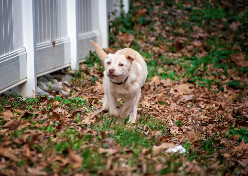 Saiontz & Kirk thumbnail 4