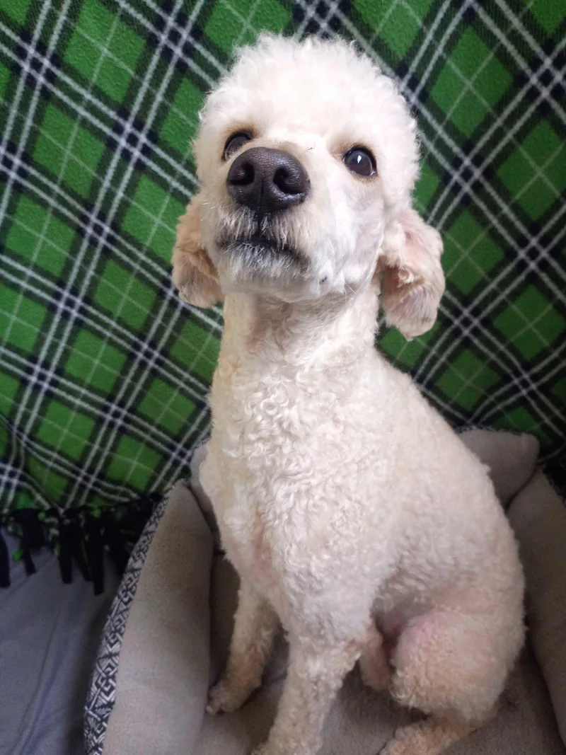 Angus May thumbnail 3