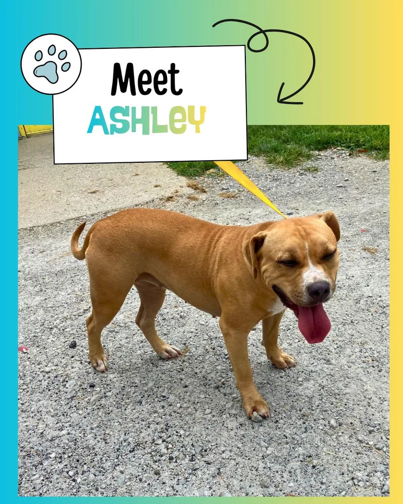 Ashley