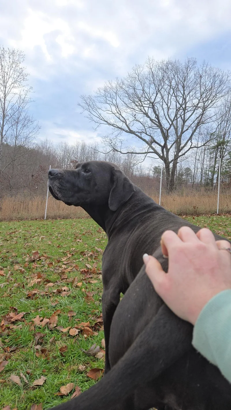 Beauty thumbnail 3