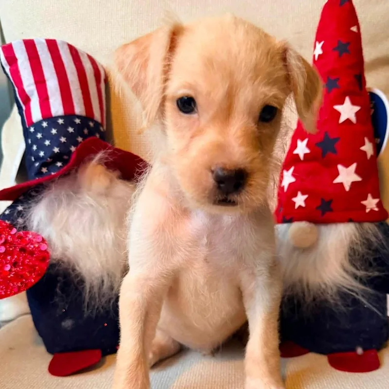Murphy