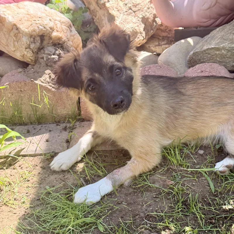 Sasha thumbnail 2