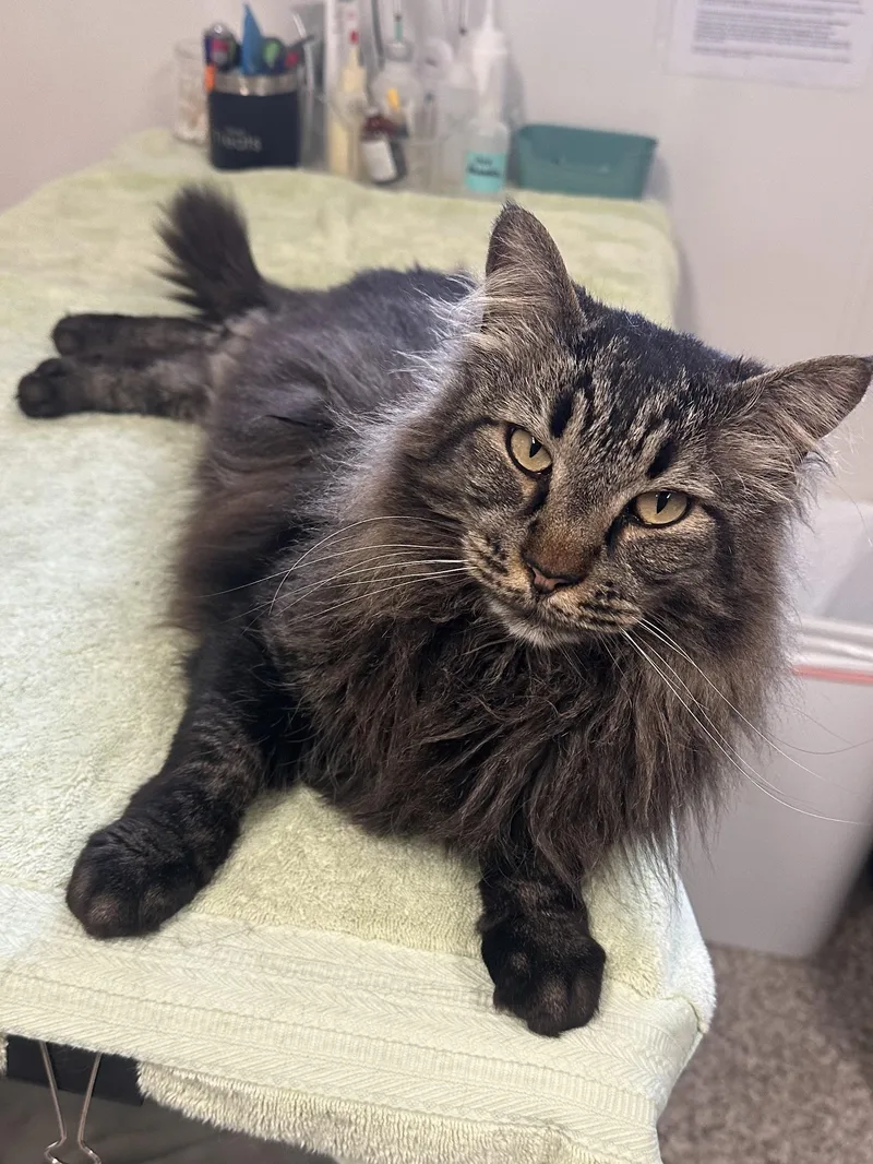 Sebastian
