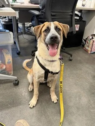 Liza Minnelli thumbnail 2