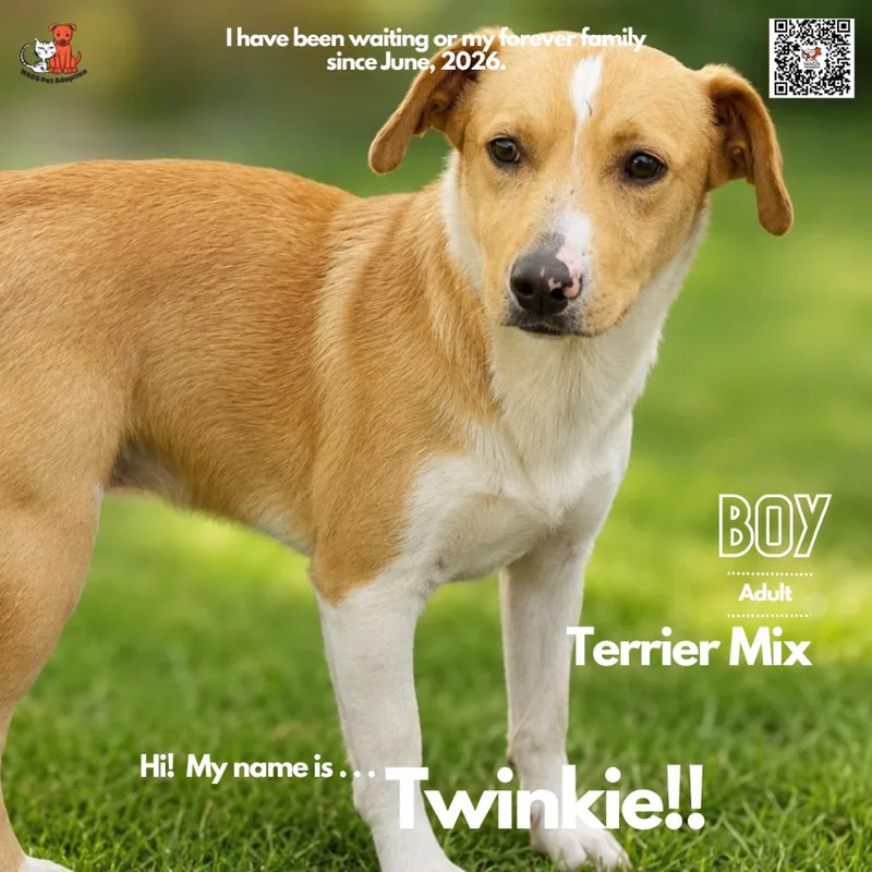 Twinkie thumbnail 2