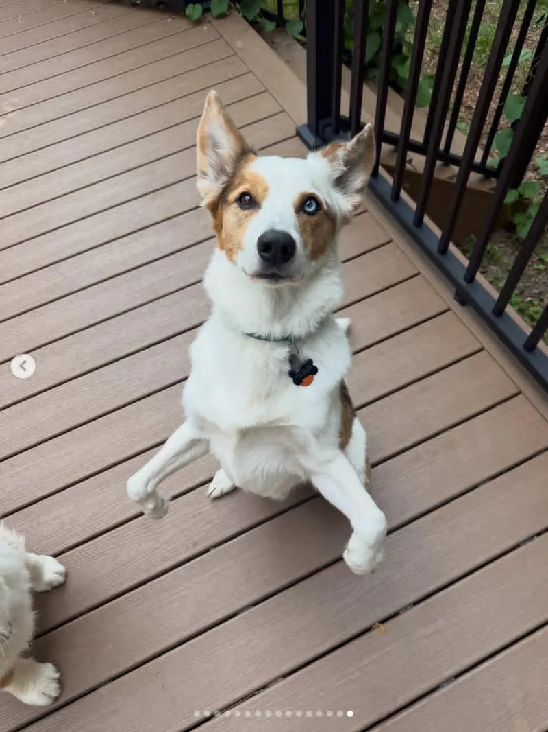 Bert