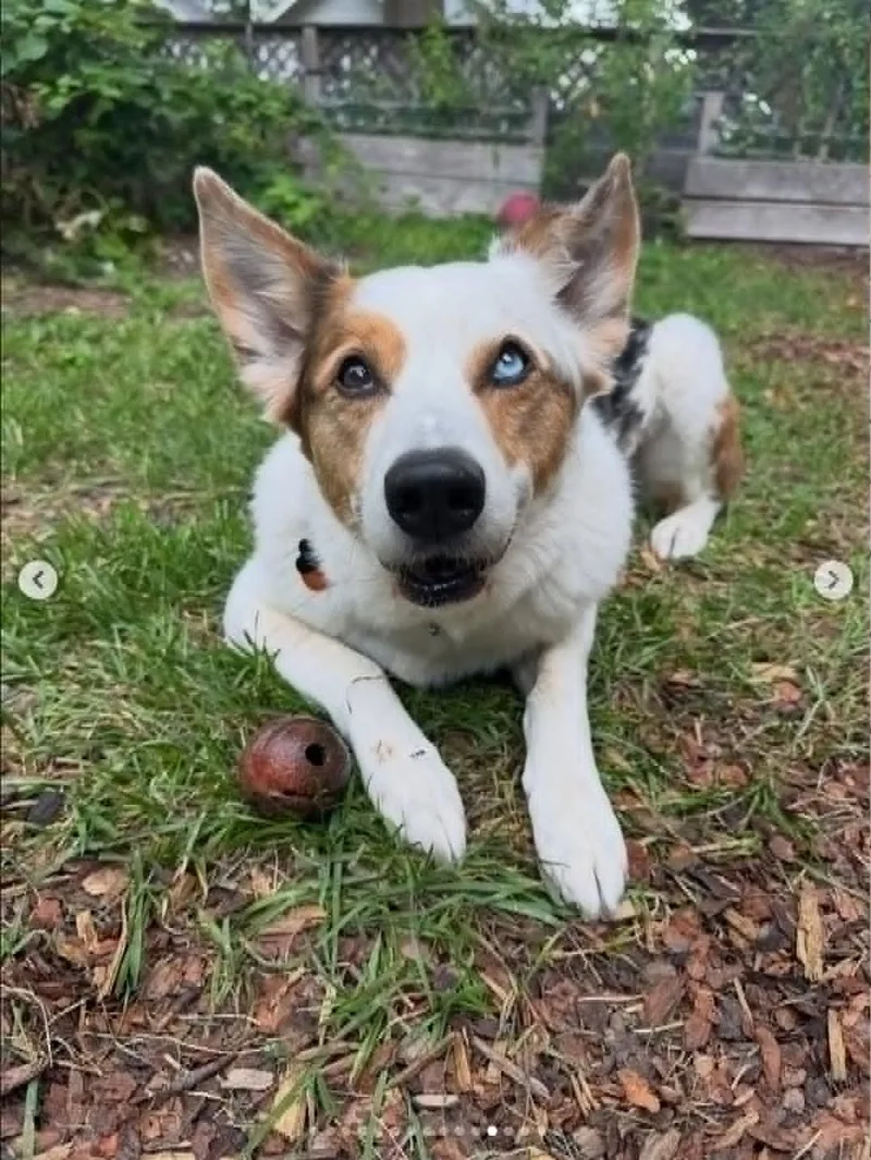 Bert thumbnail 2