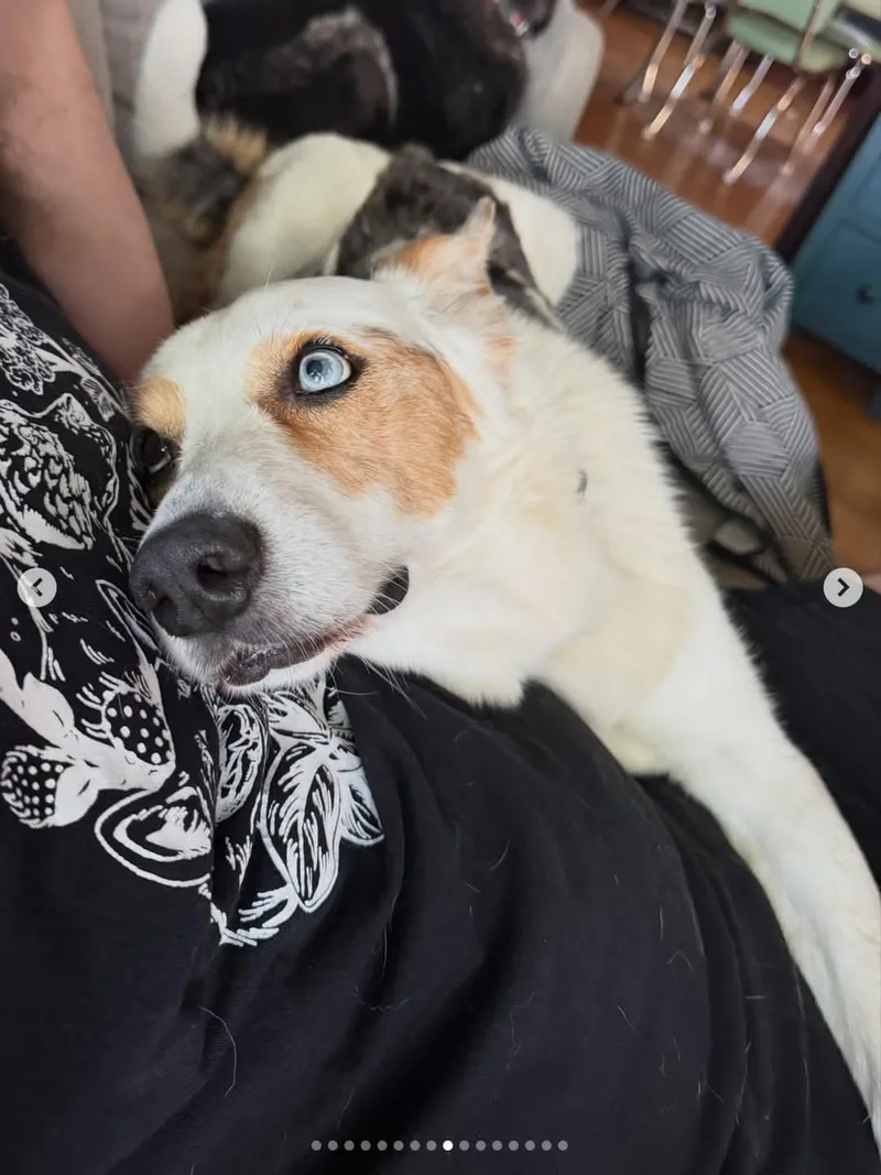 Bert thumbnail 3