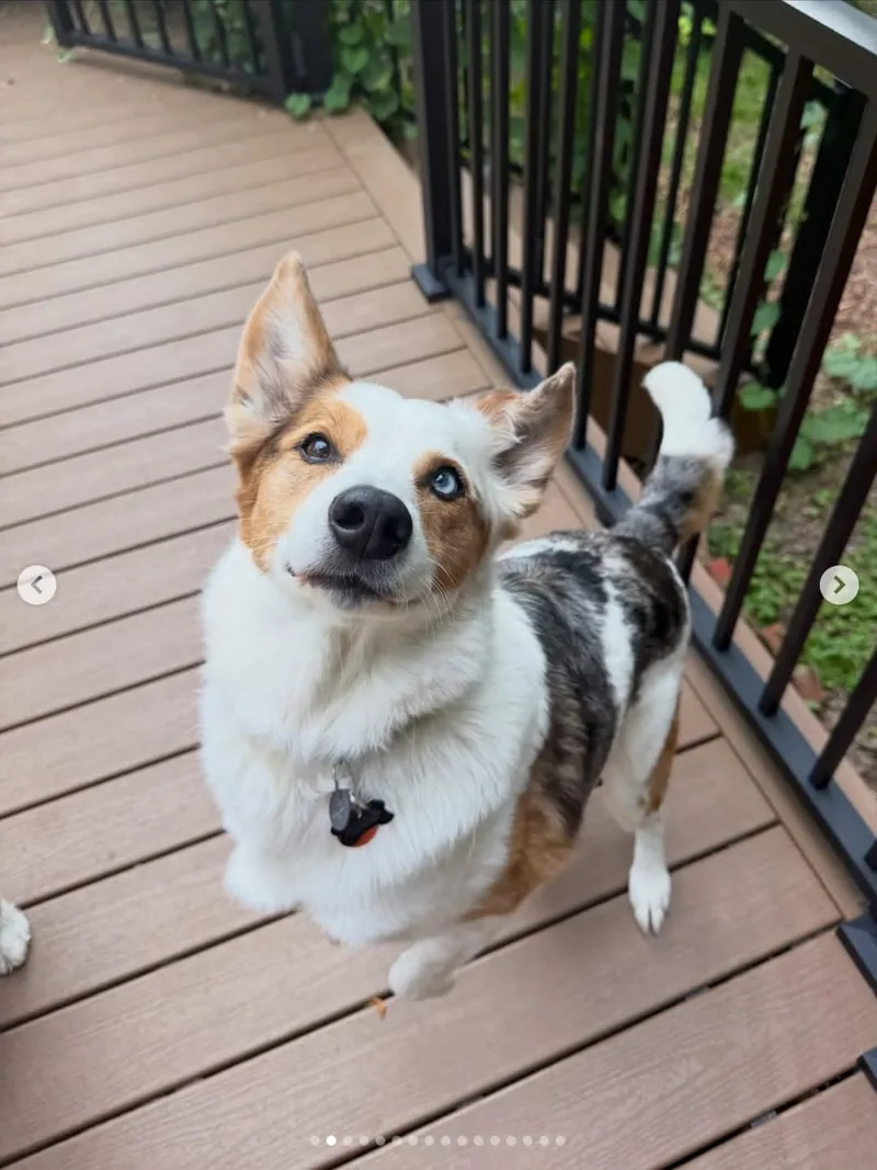 Bert thumbnail 5