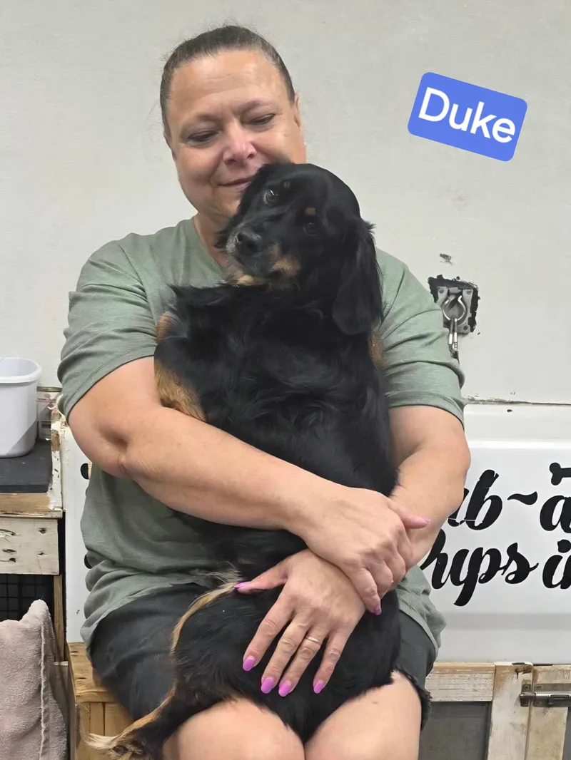 Duke thumbnail 2