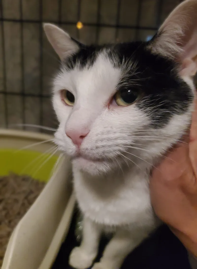 Misty And Aldine thumbnail 2