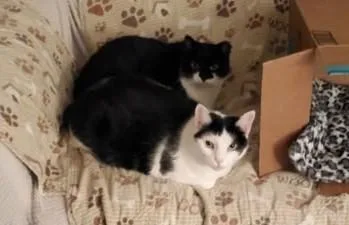 Misty And Aldine thumbnail 4