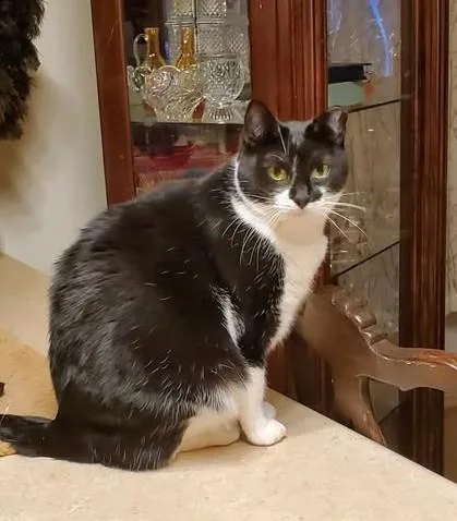 Misty And Aldine thumbnail 5