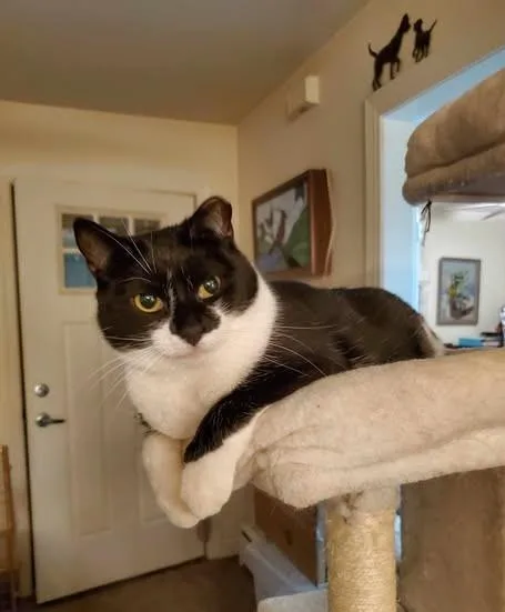 Misty And Aldine thumbnail 6