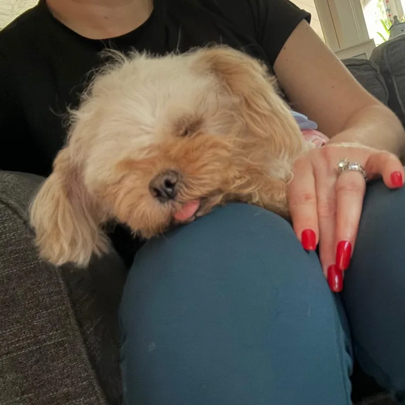 Luna thumbnail 4