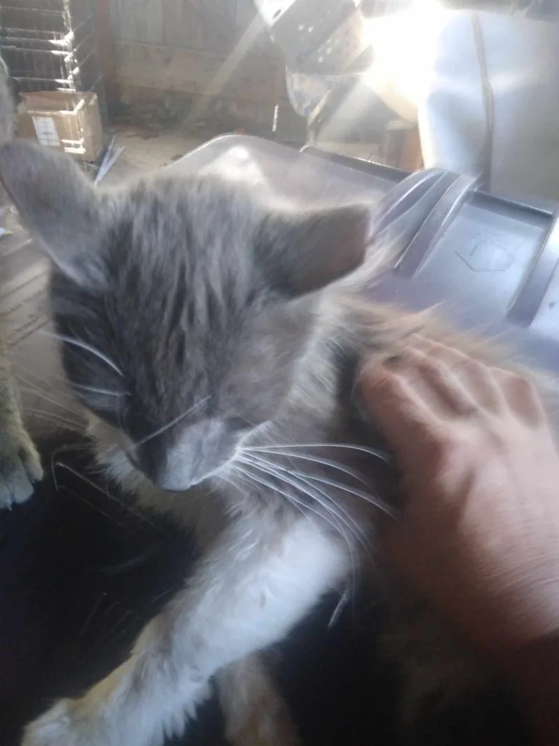 Rowan  Richmond  thumbnail 2