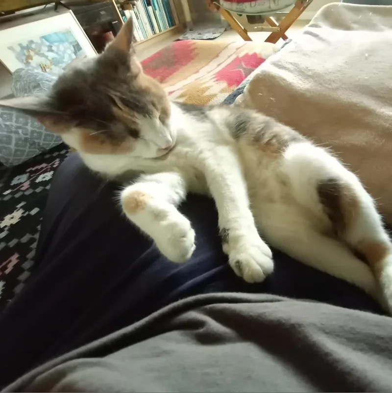 Penny Ann Hult thumbnail 2