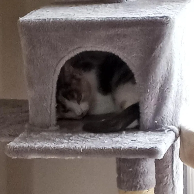 Penny Ann Hult thumbnail 3