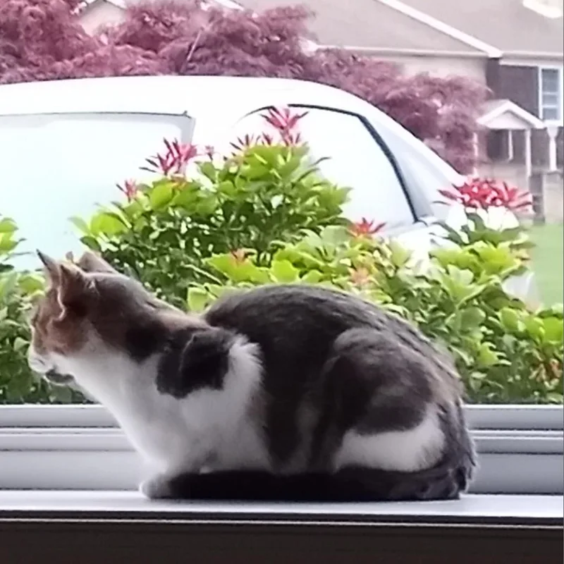 Penny Ann Hult thumbnail 4