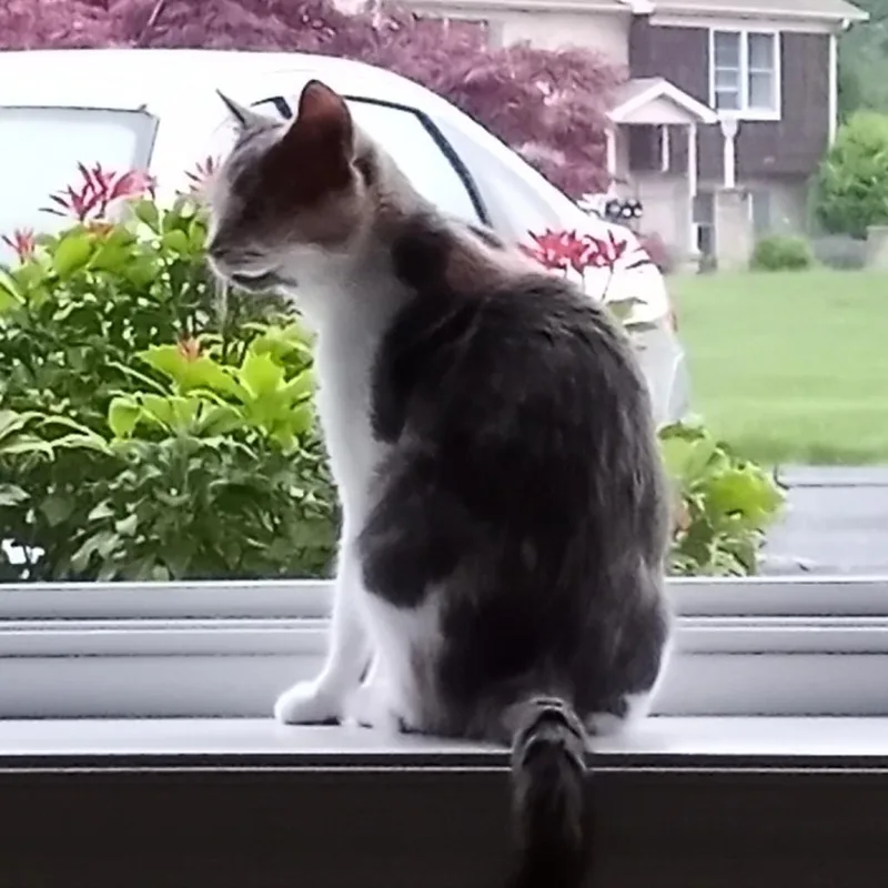 Penny Ann Hult thumbnail 5