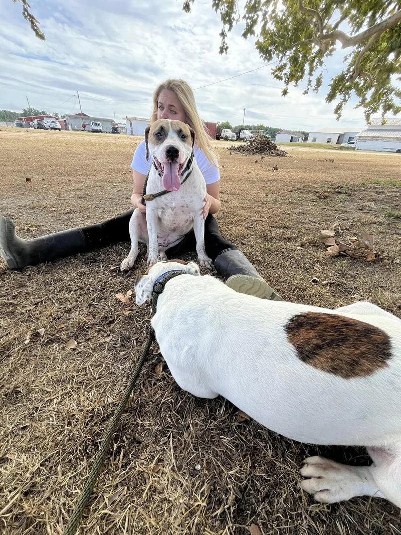 Ed & Edd thumbnail 2