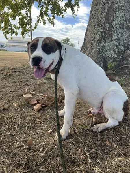 Ed & Edd thumbnail 3