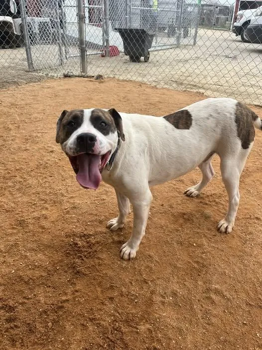 Ed & Edd thumbnail 4