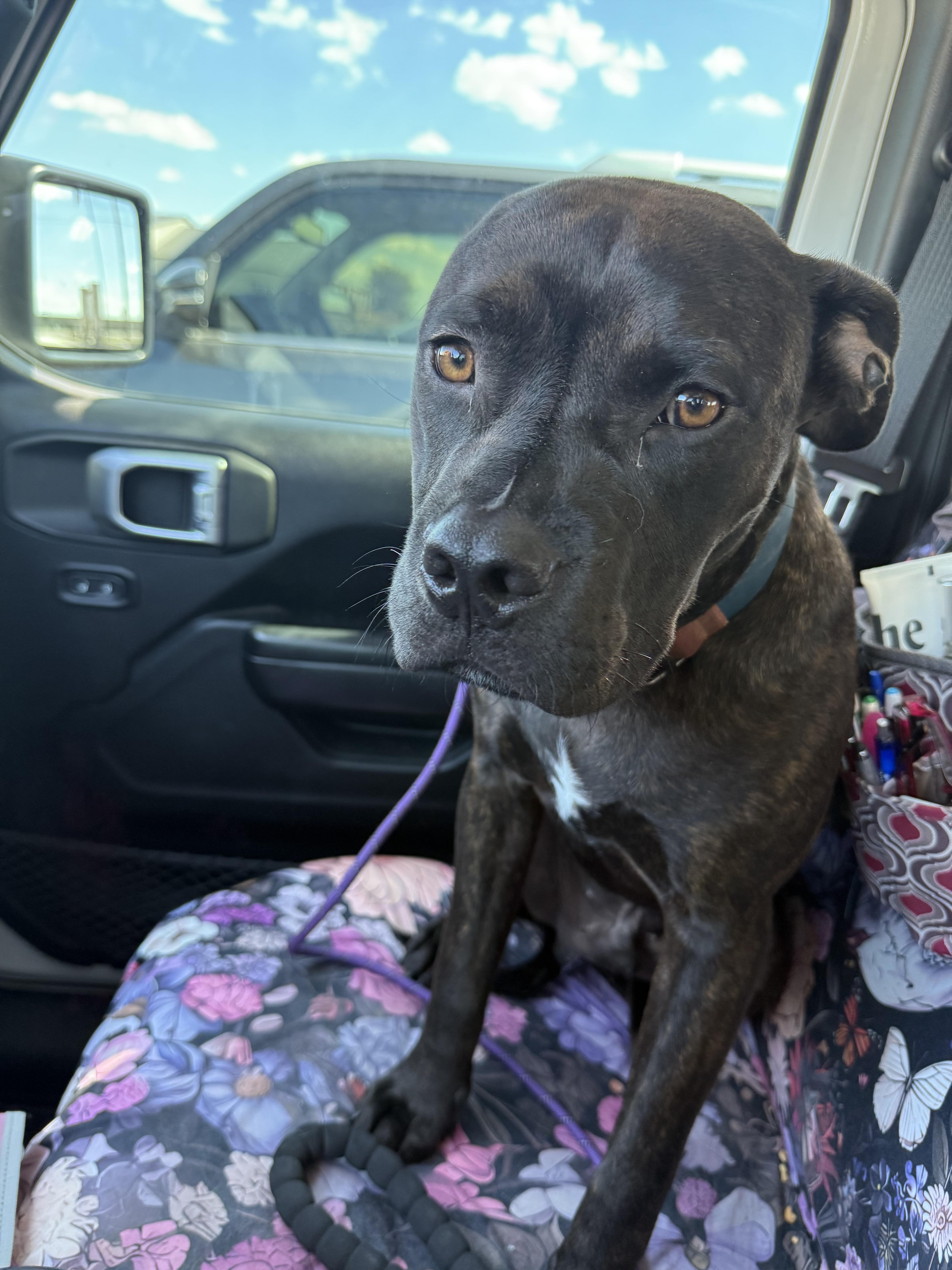 Boomer Gdp thumbnail 3