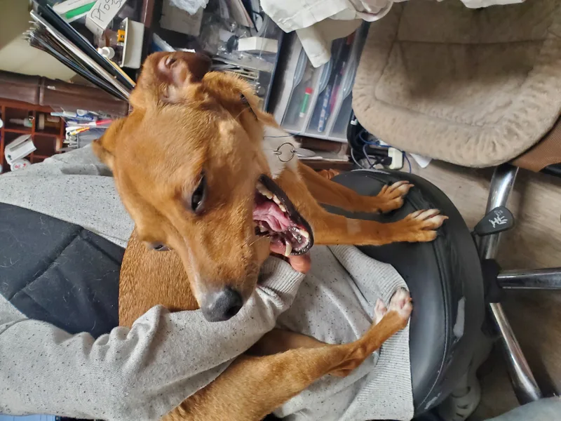 Rocky Rock thumbnail 2