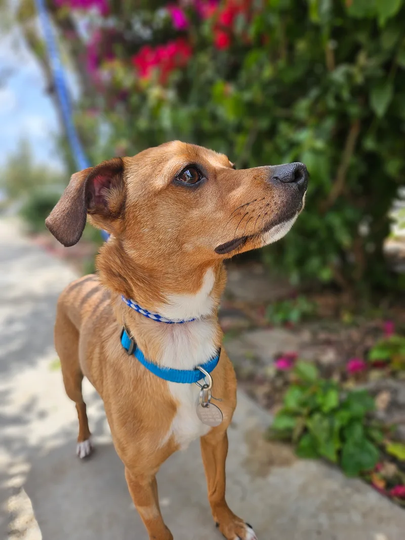 Rocky Rock thumbnail 3