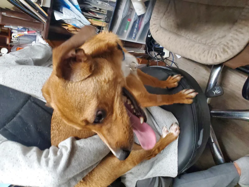 Rocky Rock thumbnail 5