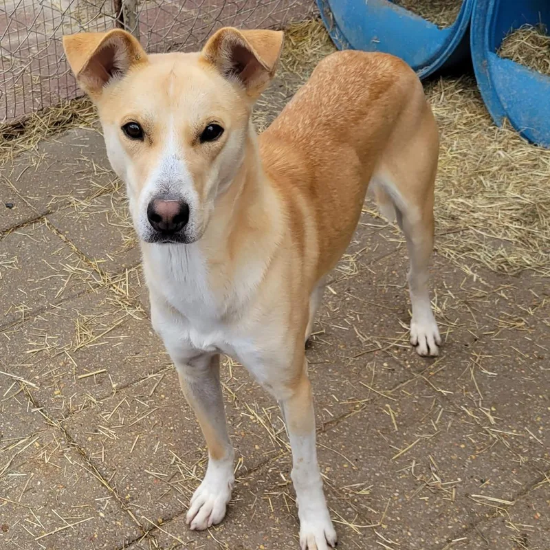 Michaelangelo thumbnail 2