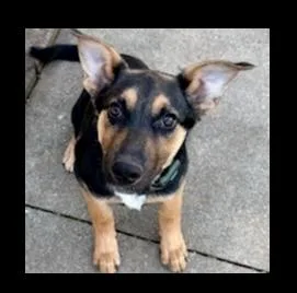 Bailey Mae thumbnail 2