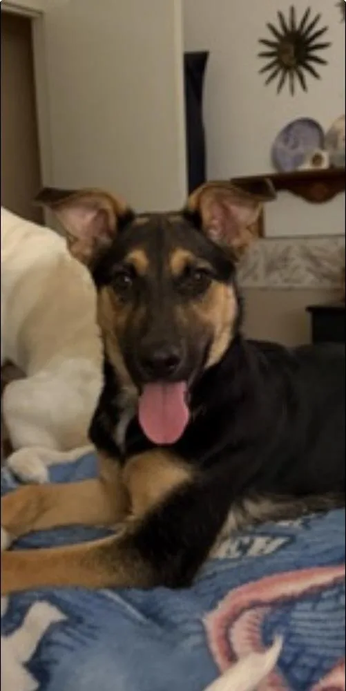 Bailey Mae thumbnail 3