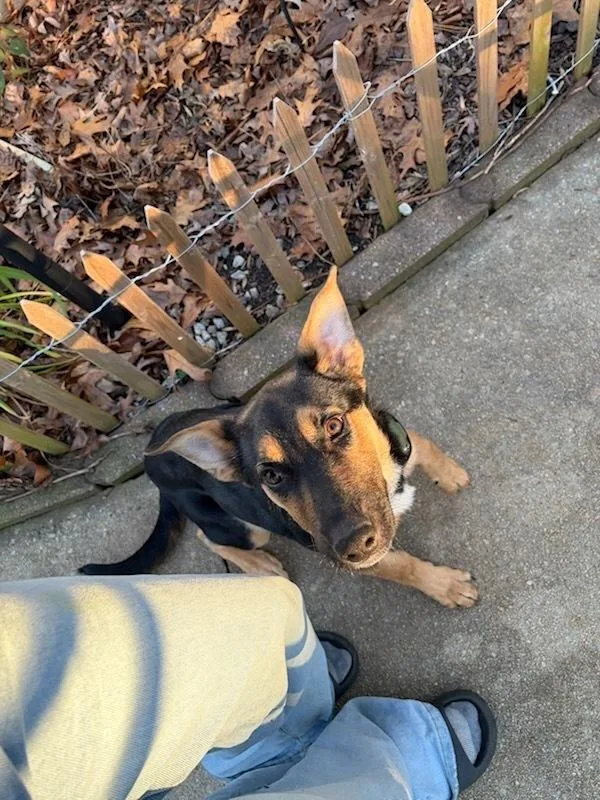 Bailey Mae thumbnail 4