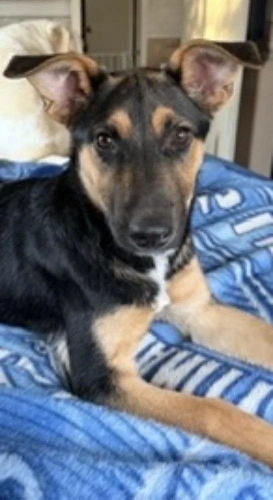 Bailey Mae thumbnail 5