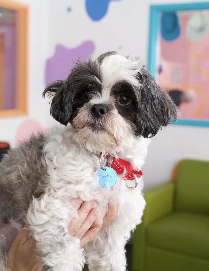 Betty thumbnail 3